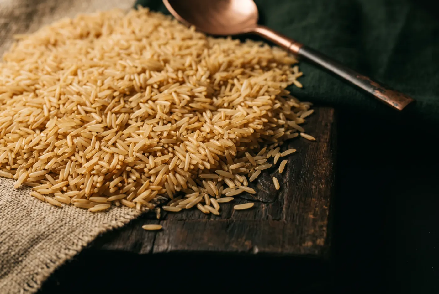 Khaas 1121 Golden Sella — a macro bed of the grain